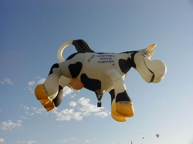 Fliegender Heißluftballon in Form einer riesigen Kuh