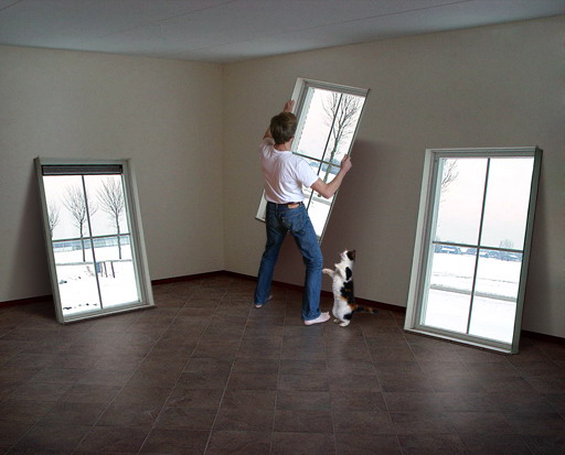 Bild des Monats November 2009