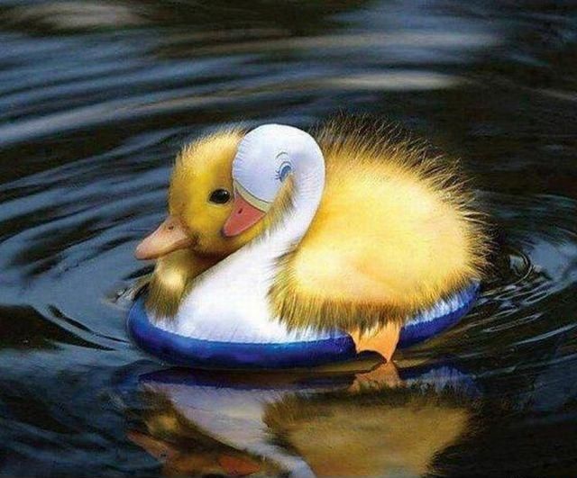 Bild des Monats November 2014