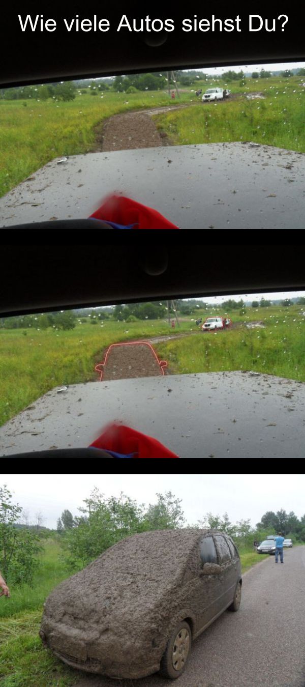 Bild des Monats November 2011