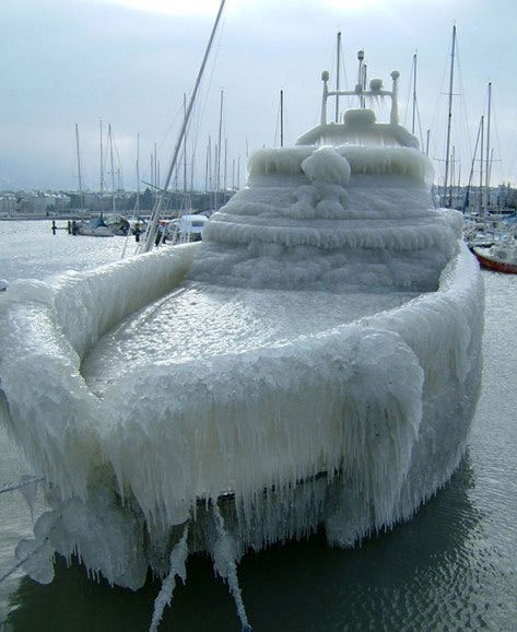 Bild des Monats Januar 2008