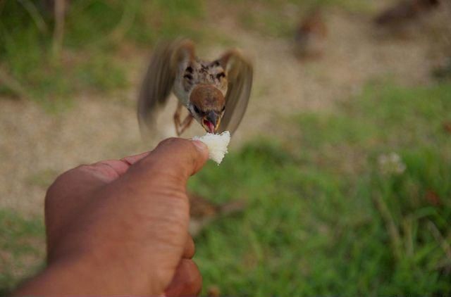 Bild des Monats Mai 2014