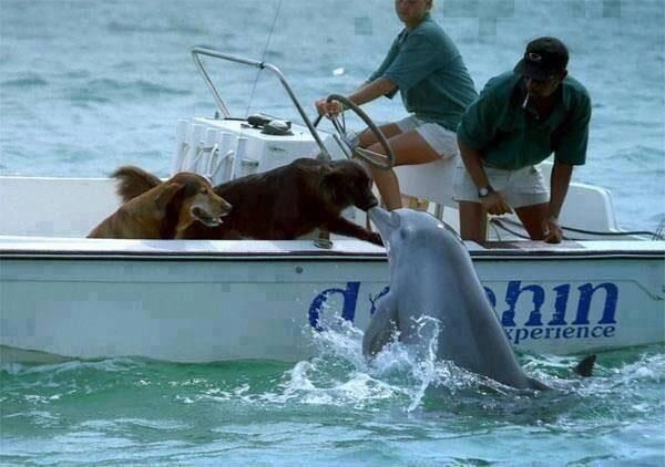 Bild des Monats Oktober 2015