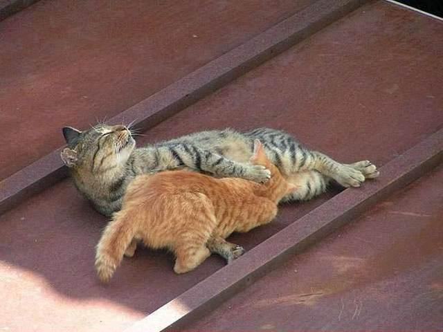 Bild des Monats Juni 2006