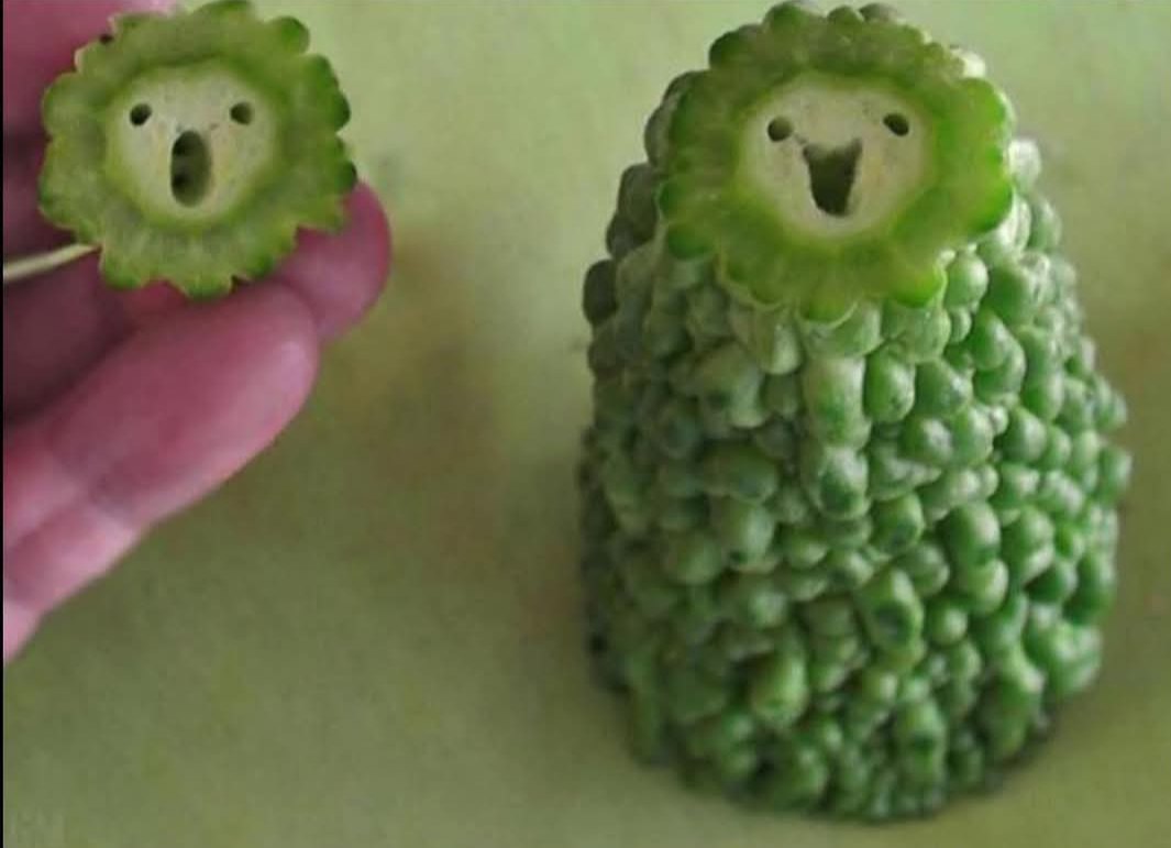 Best-Galerie, lustige Bilder