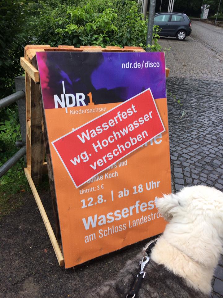 Best-Galerie, lustige Bilder