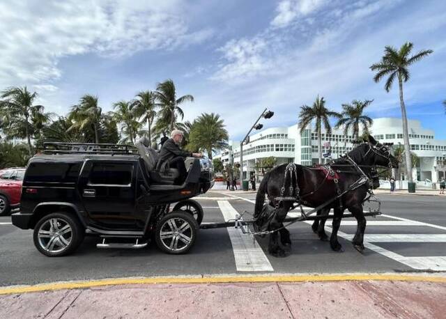 Best-Galerie, lustige Bilder