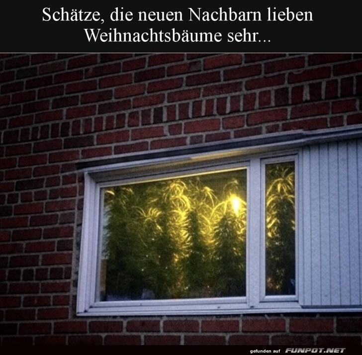 jeden Tag ein neues Foto