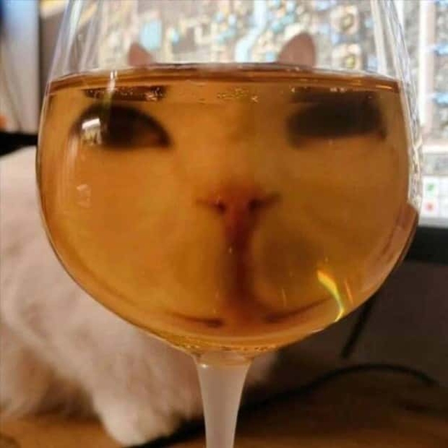 jeden Tag ein neues Foto
