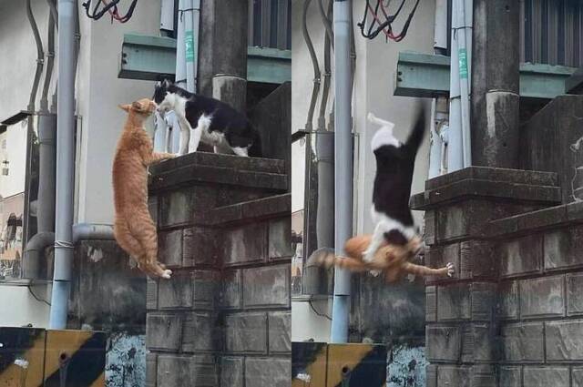 Bild des Monats September 2025