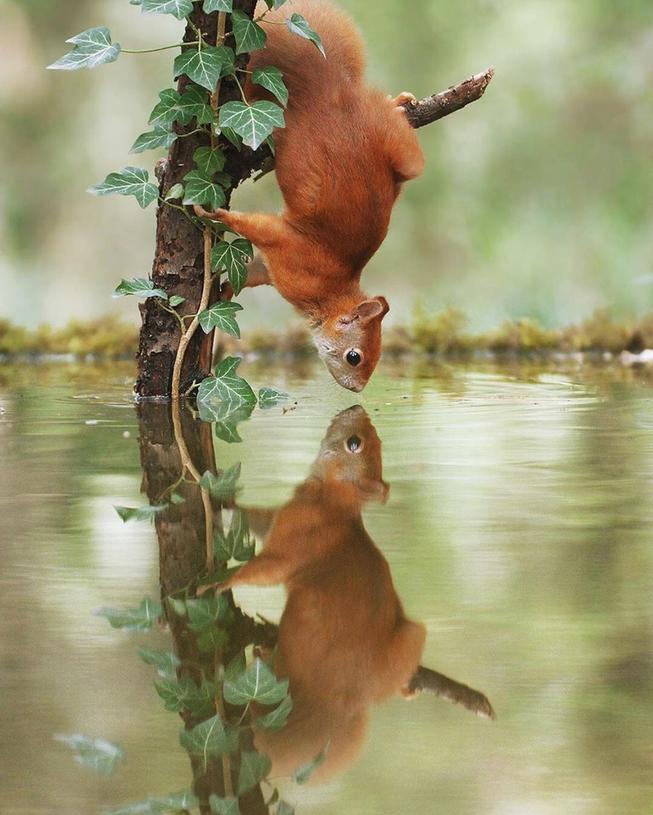 Bild des Monats Mai 2023