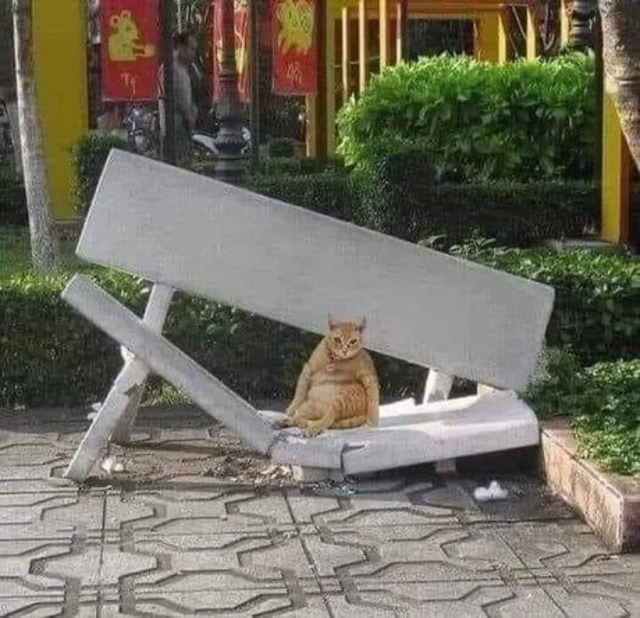 Bild des Monats Mai 2025