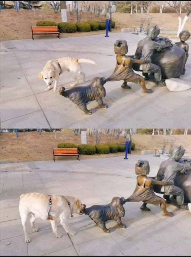 Bild des Monats Oktober 2023