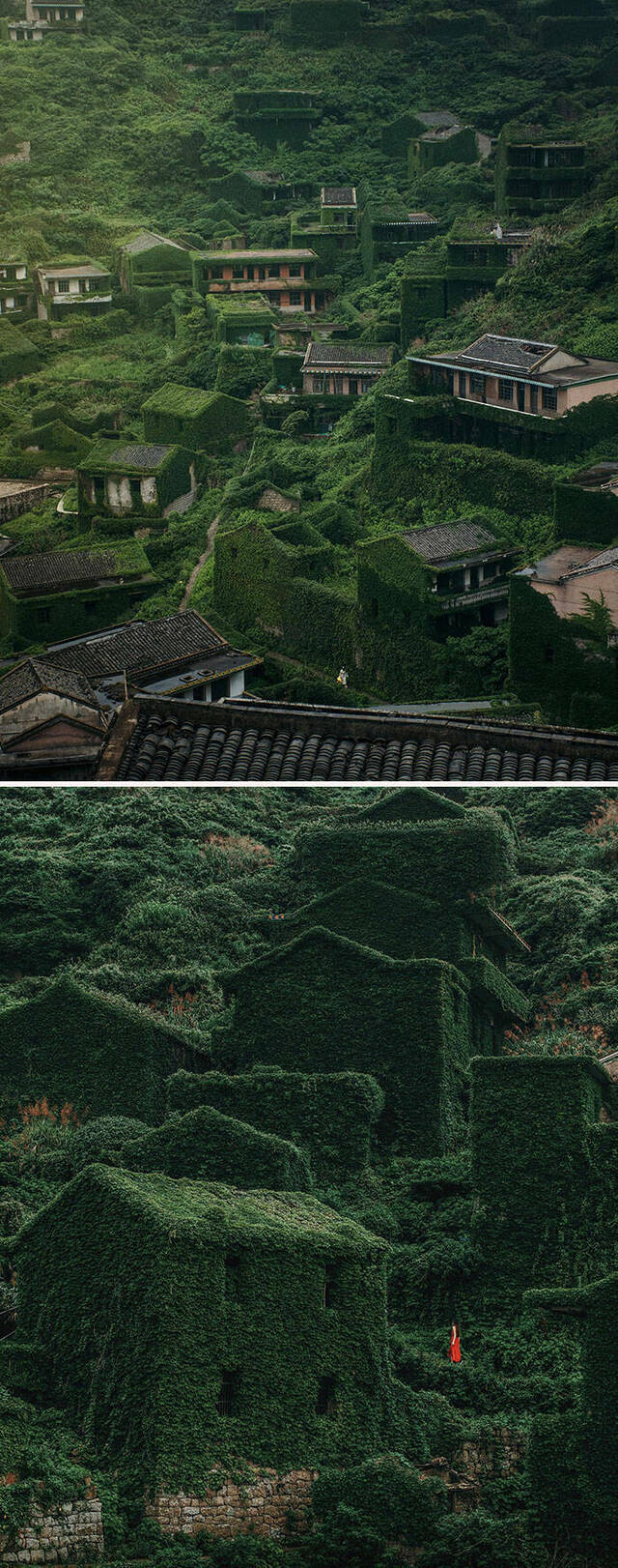 Bild des Monats Juni 2025