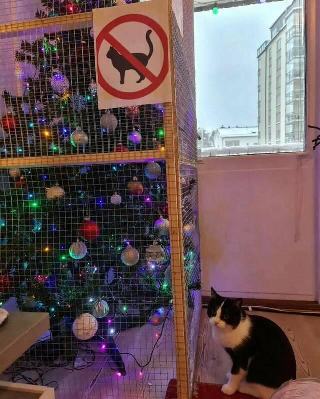 Best-Galerie, lustige Bilder