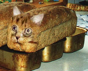 Brot mit Katzengesicht