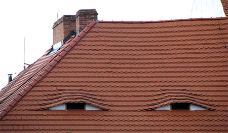 Dach mit Augen