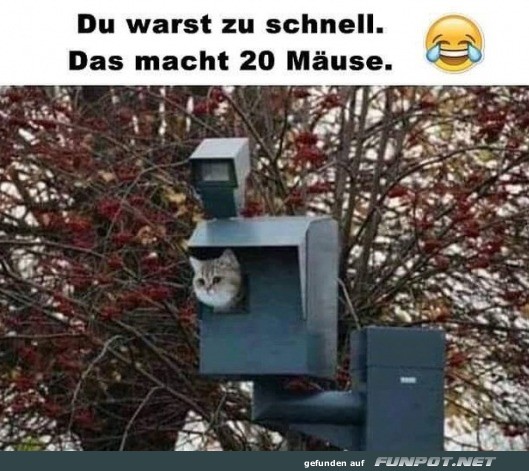 jeden Tag ein neues Foto