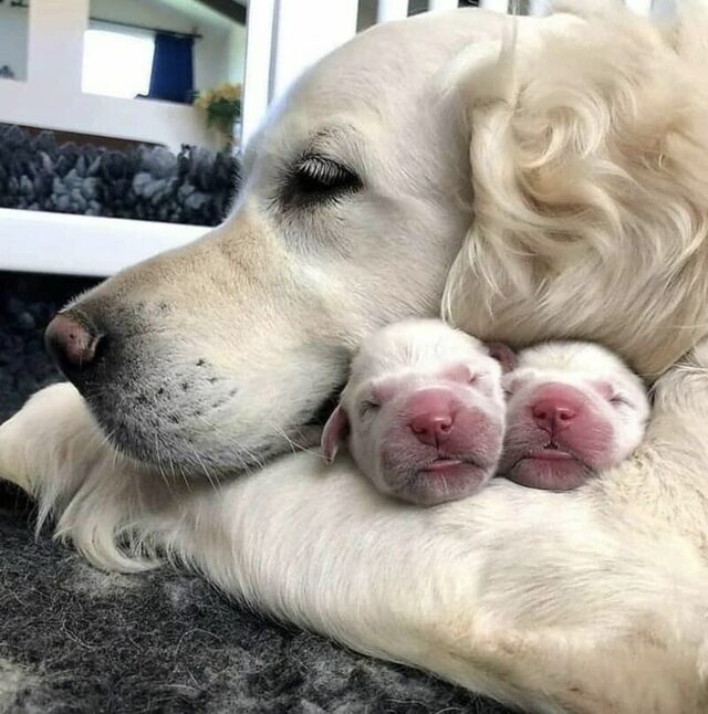 jeden Tag ein neues Foto