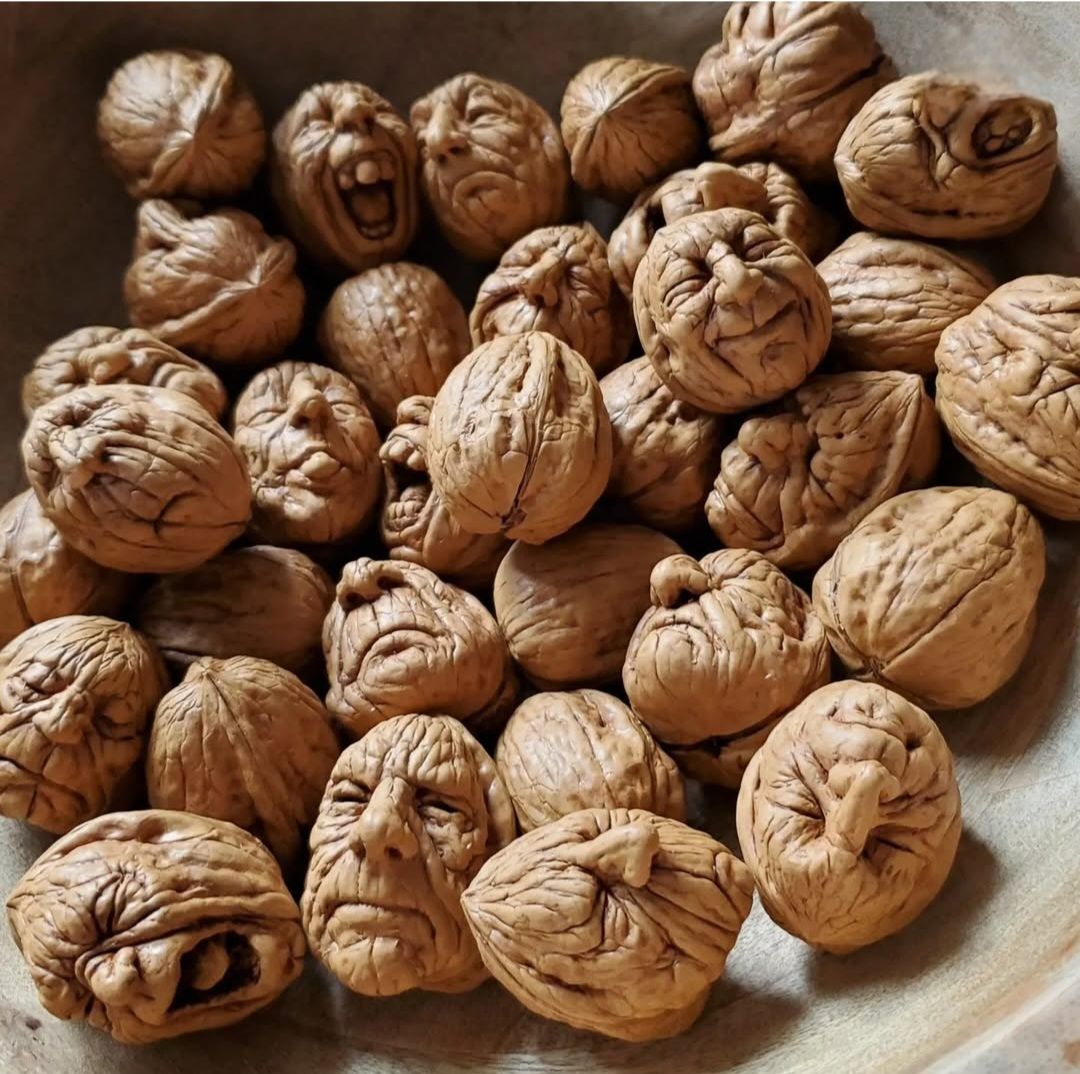 jeden Tag ein neues Foto