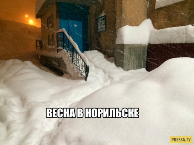 jeden Tag ein neues Foto