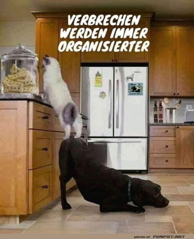 jeden Tag ein neues Foto