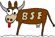 BSE-Kuh (gezeichnet von Samy)
