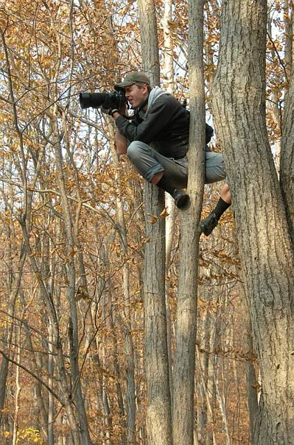 Mann mit Kamera auf Baum